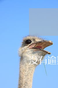 没有逾期为什么网贷会被拒 没有逾期为什么网贷会被拒
