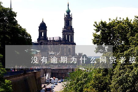 没有逾期为什么网贷老被拒 没有逾期为什么网贷老被拒