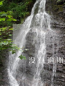 没有逾期为什么网贷请不下来
