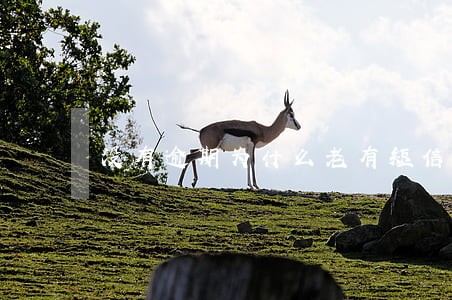 没有逾期为什么老有短信说我逾期 没有逾期为什么老有短信说我逾期