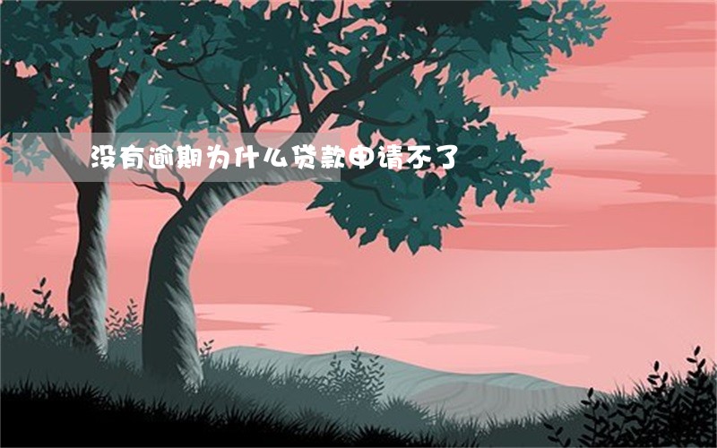 没有逾期为什么贷款申请不了 没有逾期为什么贷款申请不了