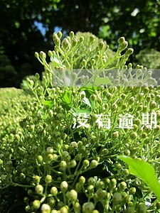 没有逾期为什么进黑名单了吗 没有逾期为什么进黑名单了吗