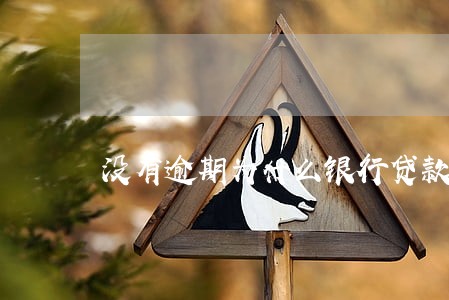没有逾期为什么银行贷款秒拒 没有逾期为什么银行贷款秒拒