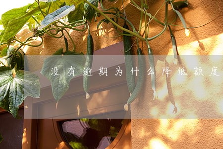 没有逾期为什么降低额度 没有逾期为什么降低额度