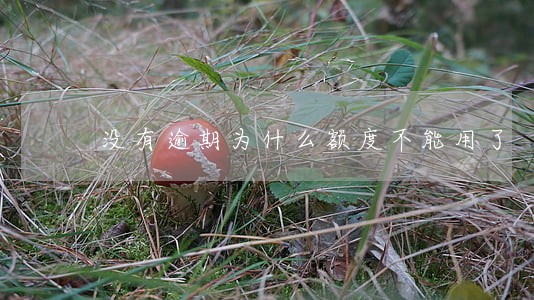没有逾期为什么额度不能用了 没有逾期为什么额度不能用了
