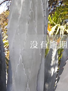 没有逾期为何花呗会降额度 没有逾期为何花呗会降额度