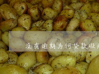 没有逾期为何贷款瑕疵 没有逾期为何贷款瑕疵