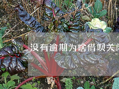 没有逾期为啥借呗关闭了 没有逾期为啥借呗关闭了