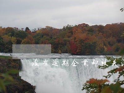 没有逾期企业却被关注了 没有逾期企业却被关注了