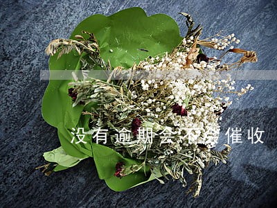 没有逾期会不会催收 没有逾期会不会催收