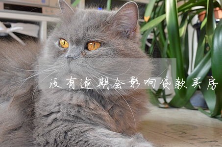没有逾期会影响贷款买房吗 没有逾期会影响贷款买房吗