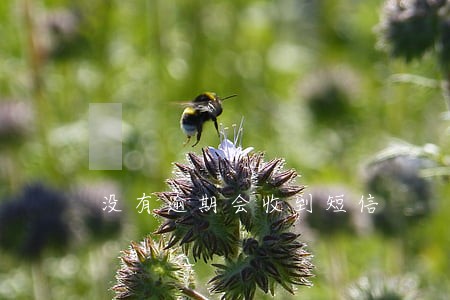 没有逾期会收到短信 没有逾期会收到短信