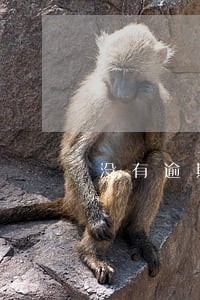 没有逾期会被催款 没有逾期会被催款