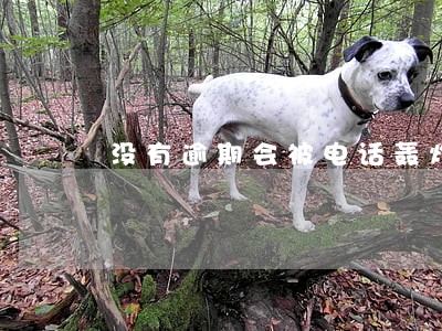 没有逾期会被电话轰炸吗 没有逾期会被电话轰炸吗