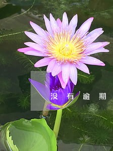 没有逾期但一直收到逾期电话 没有逾期但一直收到逾期电话