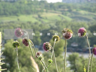 没有逾期但是一直打电话 没有逾期但是一直打电话