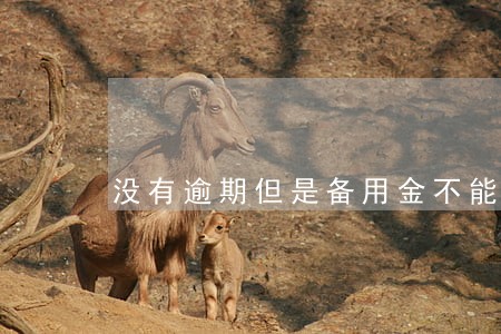 没有逾期但是备用金不能用 没有逾期但是备用金不能用
