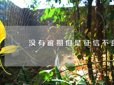 没有逾期但是征信不良