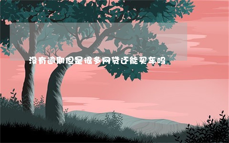 没有逾期但是很多网贷还能买车吗 没有逾期但是很多网贷还能买车吗