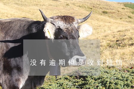 没有逾期但是收到短信 没有逾期但是收到短信