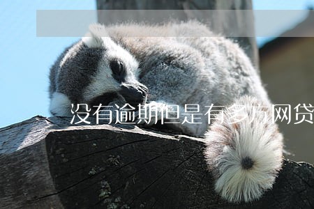 没有逾期但是有多方网贷申请 没有逾期但是有多方网贷申请