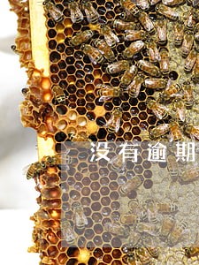 没有逾期但是查询次数有点多 没有逾期但是查询次数有点多