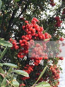 没有逾期但是负债高 没有逾期但是负债高