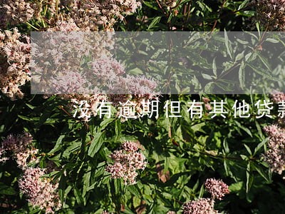 没有逾期但有其他贷款记录 没有逾期但有其他贷款记录