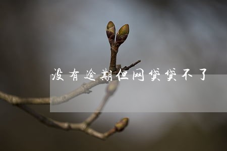 没有逾期但网贷贷不了 没有逾期但网贷贷不了