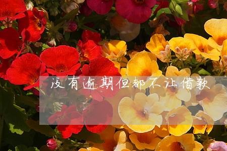 没有逾期但都不让借款
