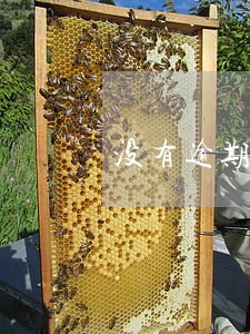 没有逾期但额度高征信 没有逾期但额度高征信