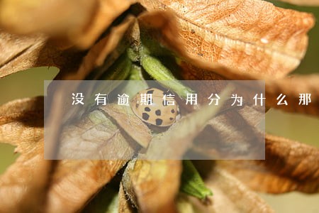 没有逾期信用分为什么那么低 没有逾期信用分为什么那么低