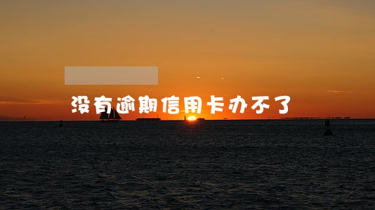 没有逾期信用卡办不了