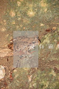 没有逾期信用卡办不了怎么办