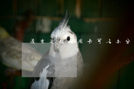 没有逾期信用卡可以办分期吗 没有逾期信用卡可以办分期吗