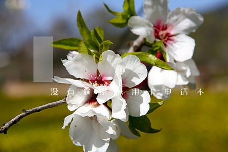 没有逾期信用卡申请不 没有逾期信用卡申请不