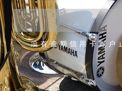 没有逾期信用卡账户止付状态