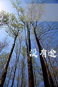 没有逾期信用额度怎么办 没有逾期信用额度怎么办