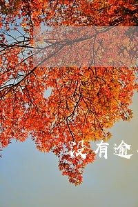 没有逾期借呗金条被停用 没有逾期借呗金条被停用