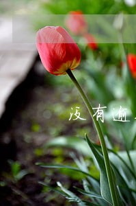 没有逾期借呗降额后成功恢复案例 没有逾期借呗降额后成功恢复案例