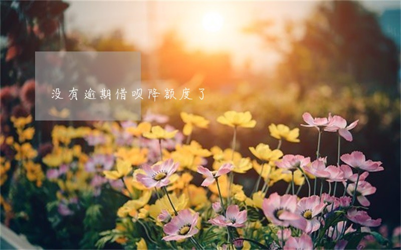 没有逾期借呗降额度了 没有逾期借呗降额度了
