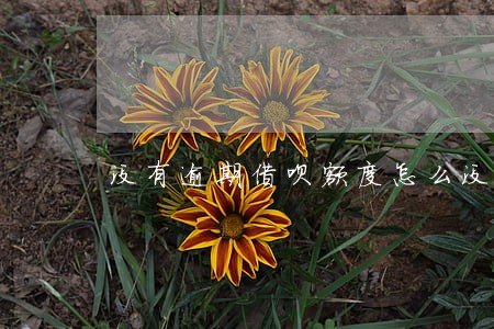 没有逾期借呗额度怎么没有了 没有逾期借呗额度怎么没有了
