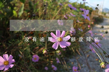 没有逾期借呗额度降低 没有逾期借呗额度降低