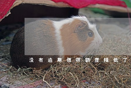 没有逾期借呗额度降低了 没有逾期借呗额度降低了