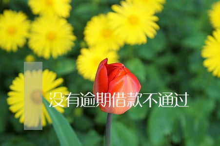 没有逾期借款不通过