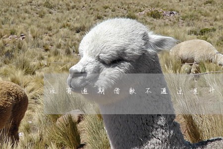 没有逾期借款不通过是什么原因 没有逾期借款不通过是什么原因
