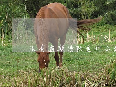 没有逾期借款是什么意思 没有逾期借款是什么意思