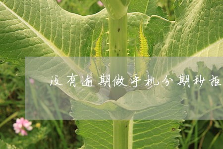 没有逾期做手机分期秒拒 没有逾期做手机分期秒拒