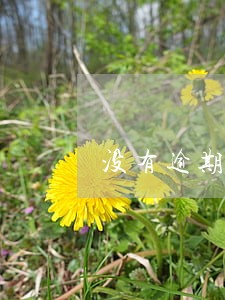 没有逾期农行信用卡不能提额度 没有逾期农行信用卡不能提额度