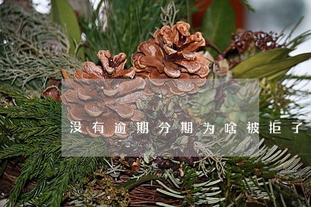 没有逾期分期为啥被拒了 没有逾期分期为啥被拒了